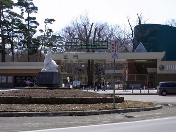 円山動物園.jpg