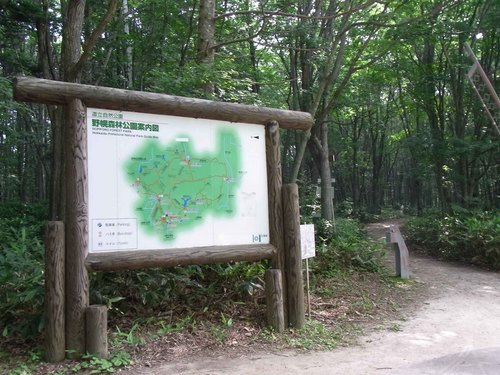 野幌森林公園.jpg